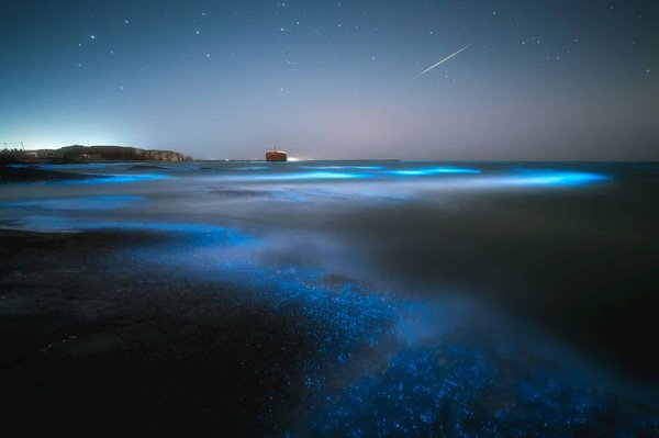 Le plancton bioluminescent en Thaïlande : quand et où l'observer ?